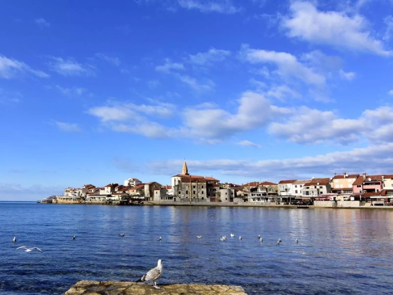 Große Wohnung in Umag mit Terrasse und Grill-Buiten