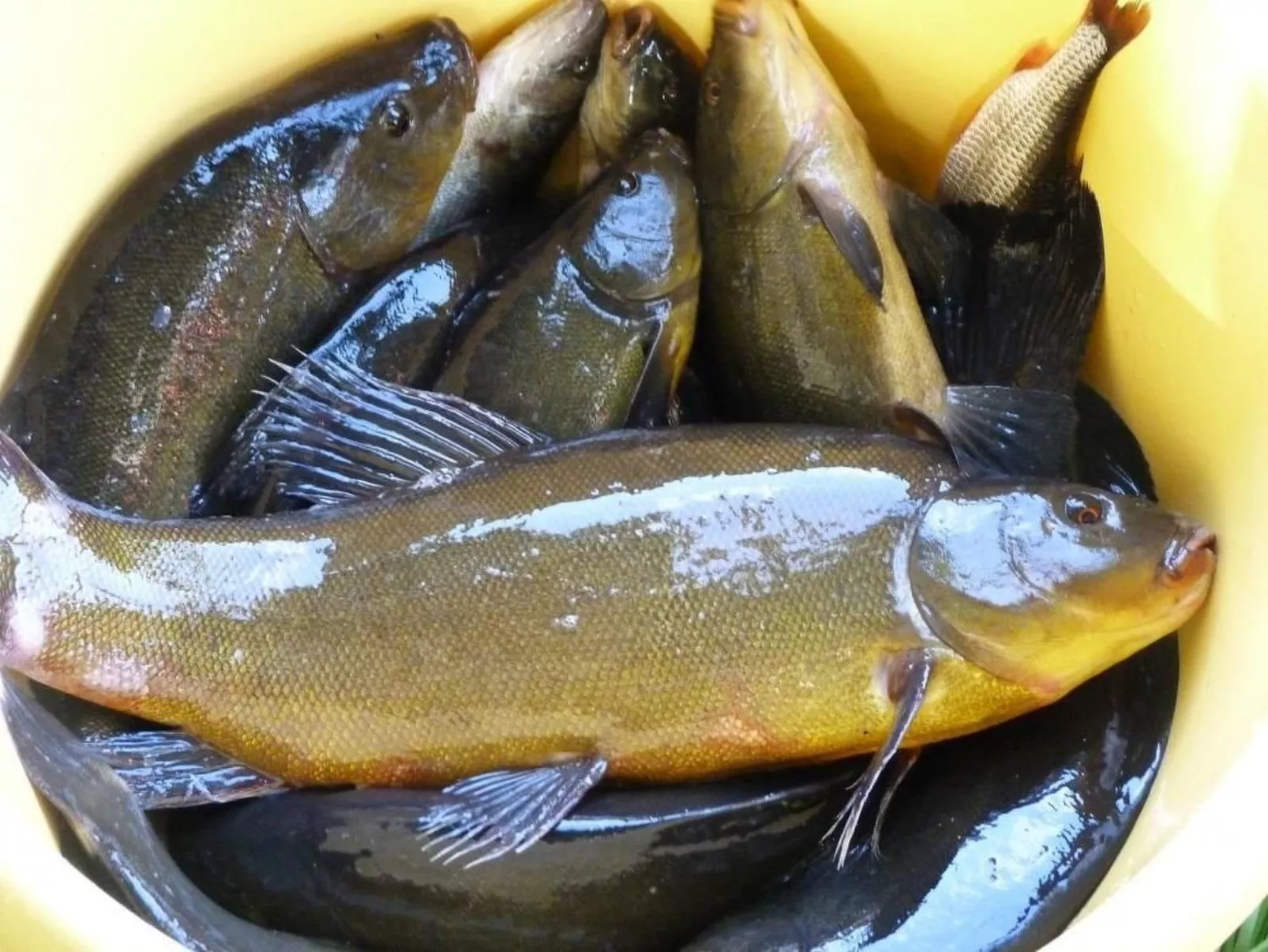 In Kaschubei - Image-tags.info