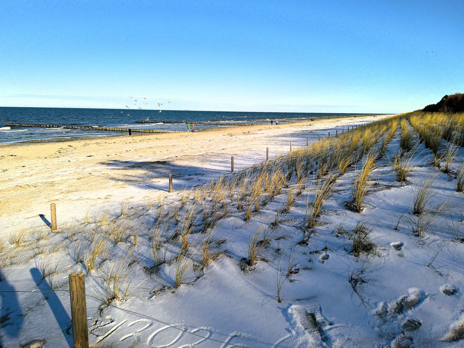 Kleine Ferienwohnung mit Garten und Terrasse-Buiten