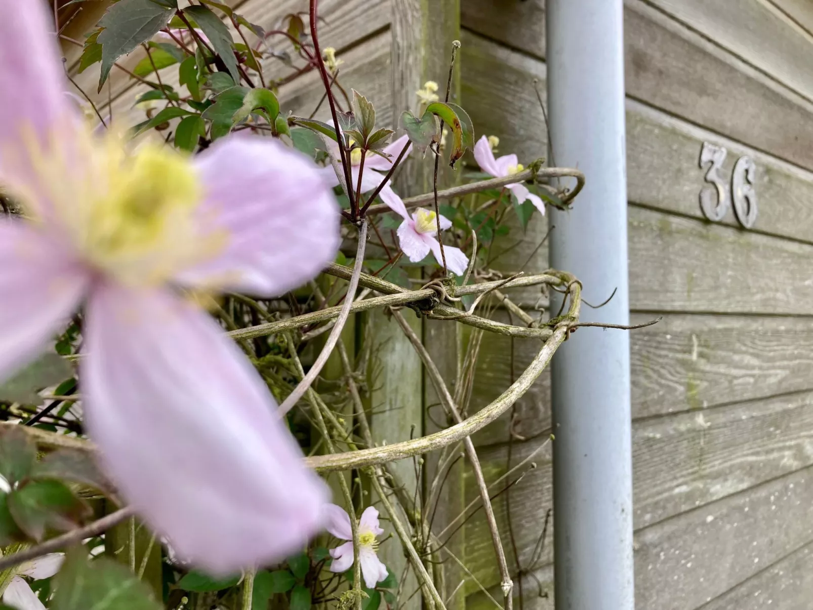 Chalet Ufergrundstück mit eigenem Angelplatz-Buiten
