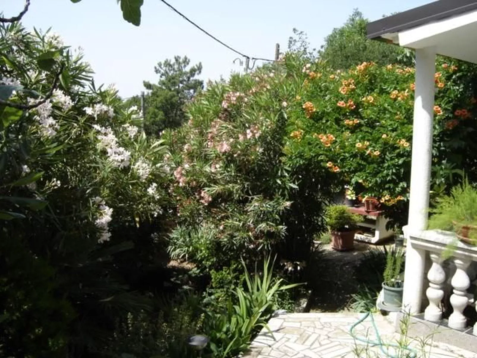 Wohnung mit herrlichem Meerblick-Image-tags.info