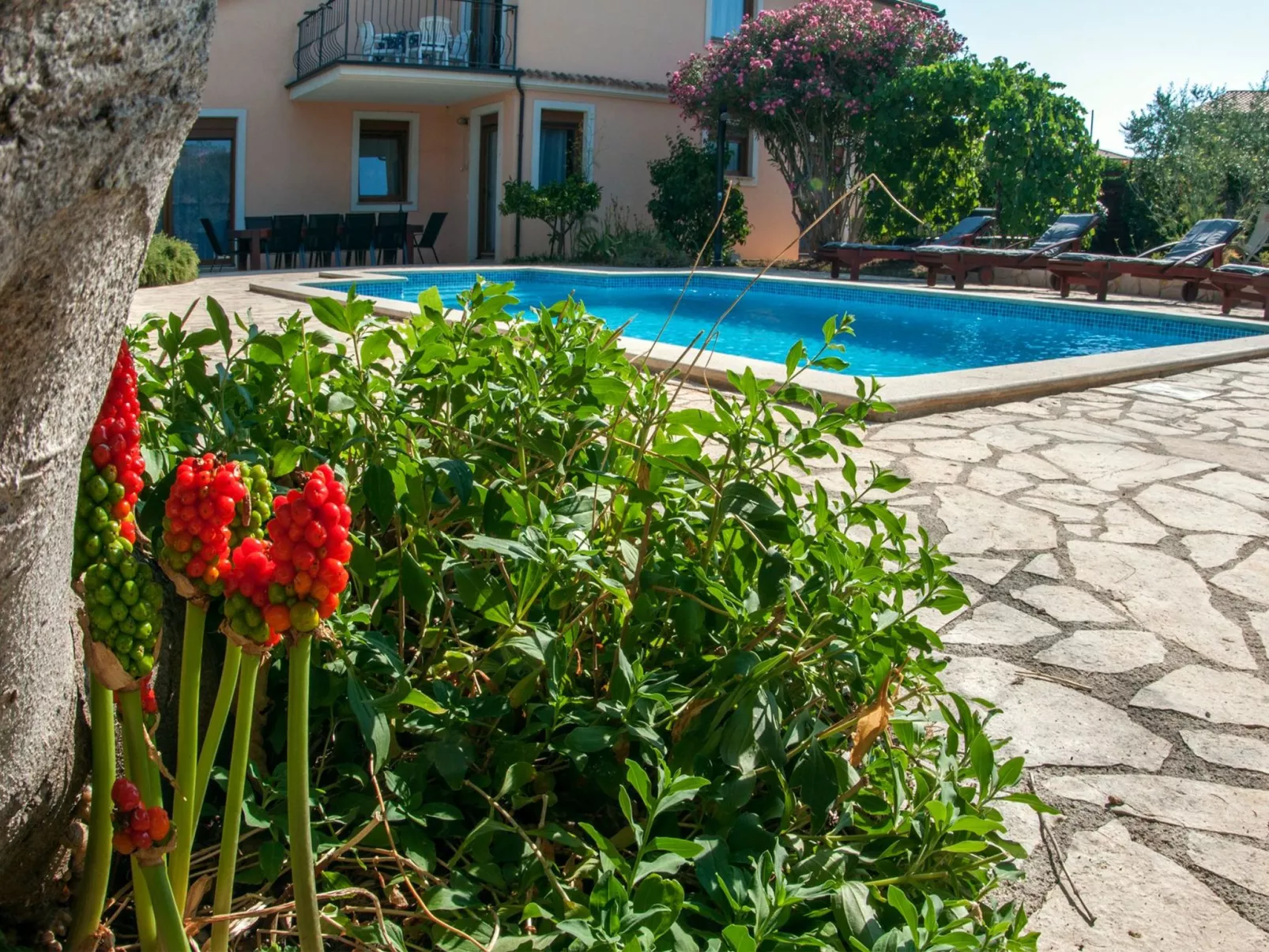 Erdgeschosswohnung für 7 Personen-Buiten