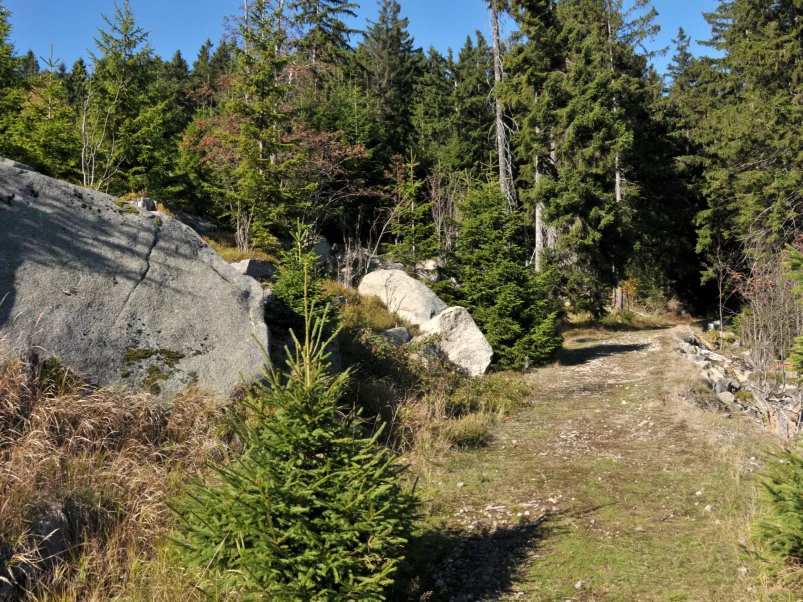 Mit Spielplatz, Garten und Fernsicht-Buiten