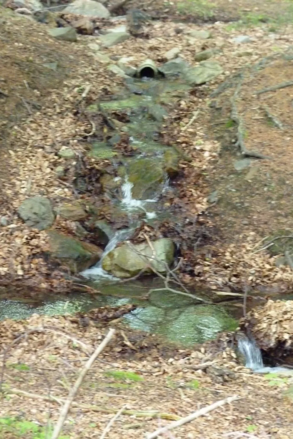 Gemütliches Appartement in Ottenhai mit Grill-Buiten