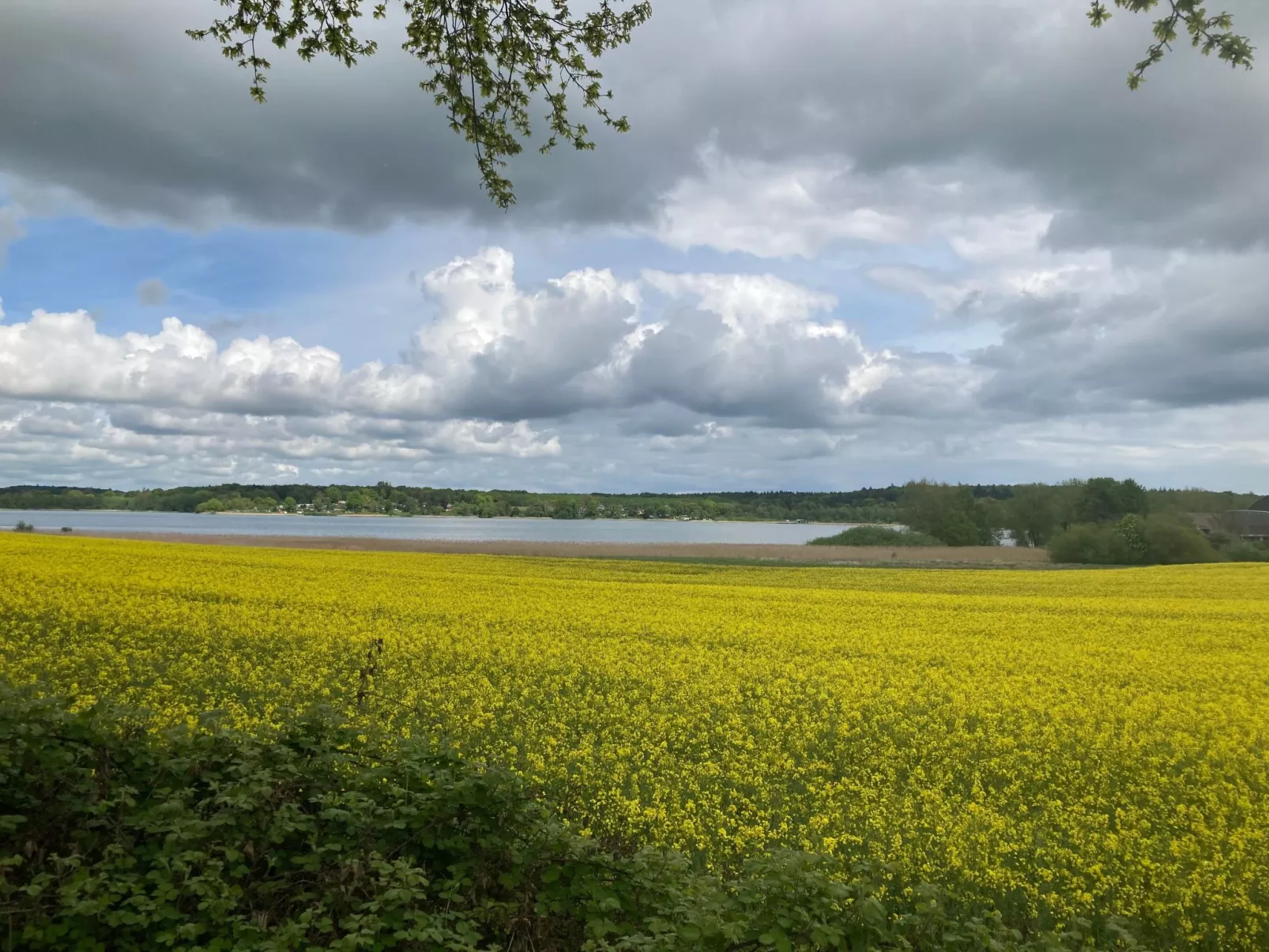 In Klingberg mit Seeblick-Image-tags.info