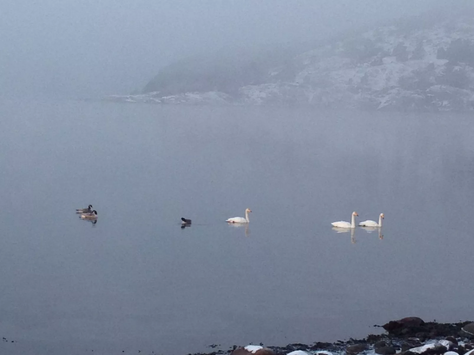 Wunderschönes Haus in einer fantastischen Natur am Meer-Buiten