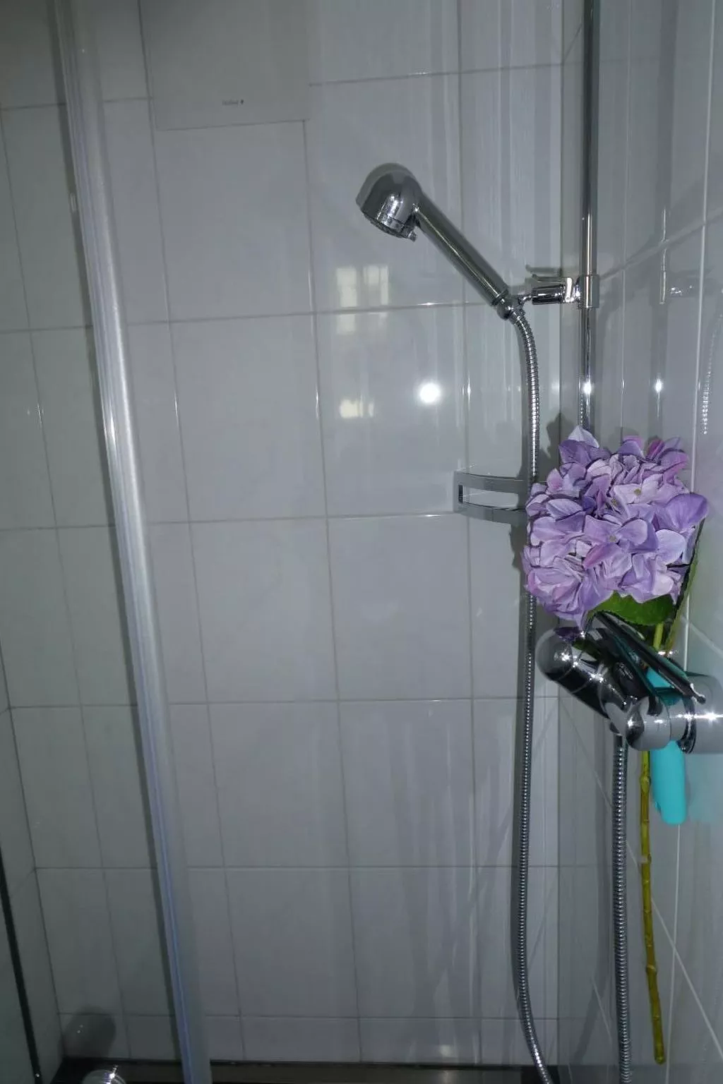 Carina 4-Image-tags.info