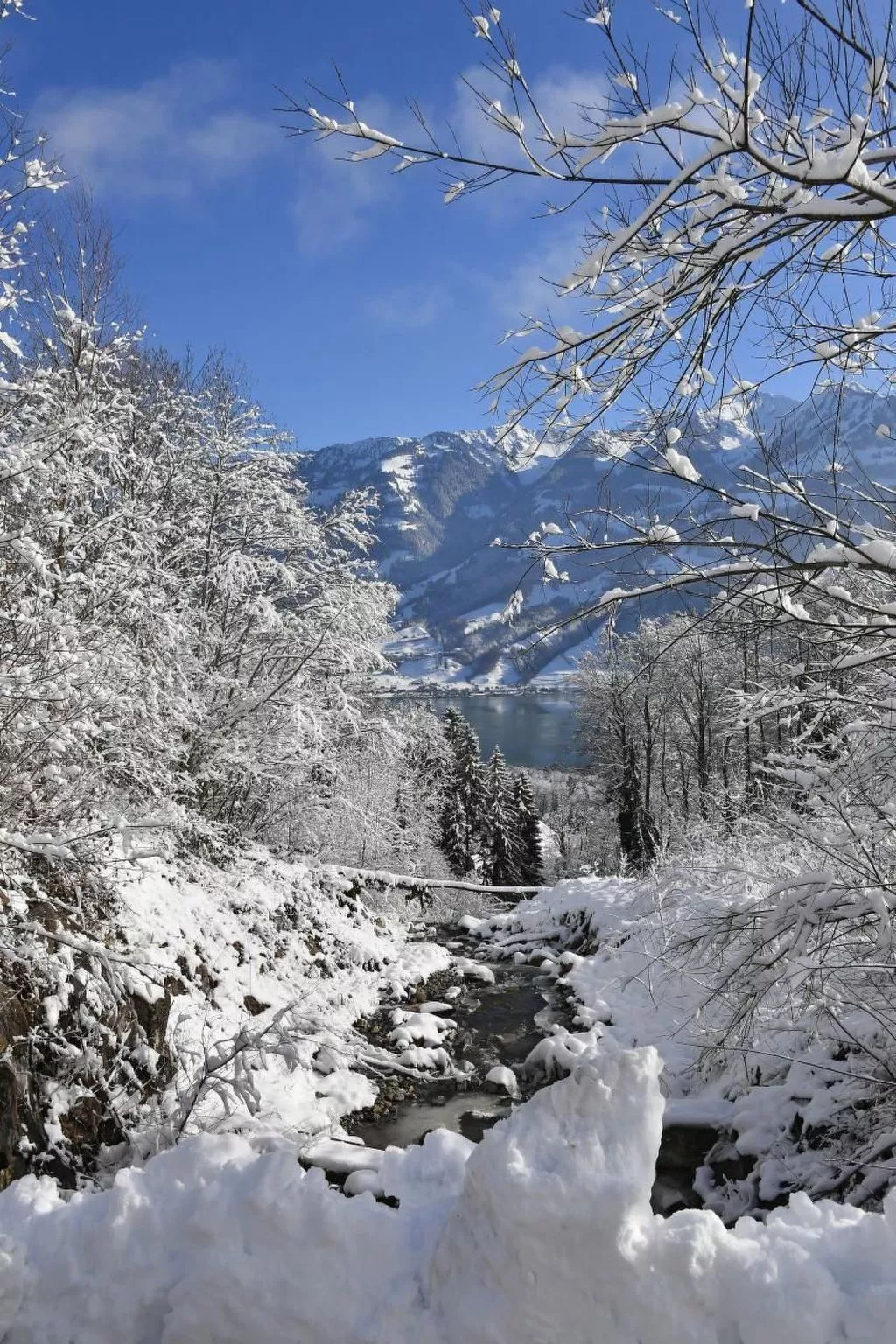 Holzhaus auf Lamahof-Image-tags.info