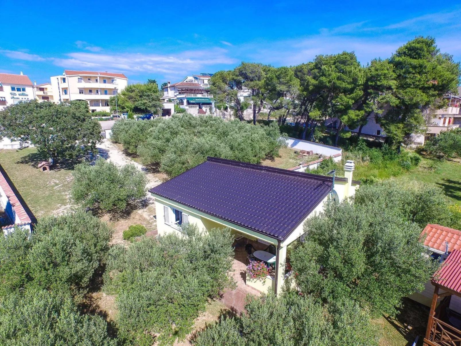 "Antonio" mit Blick auf das Wasser-Image-tags.info