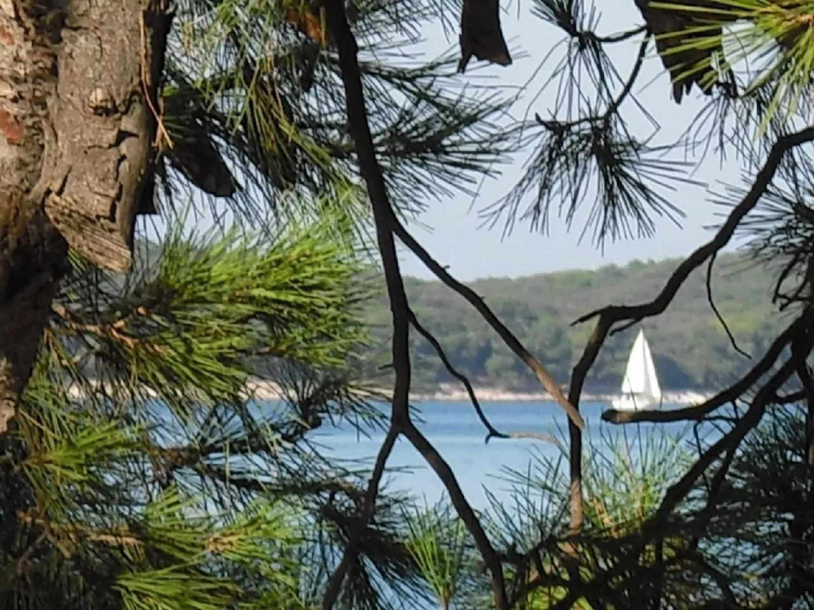 In Pula mit Grill, Terrasse und Garten-Buiten