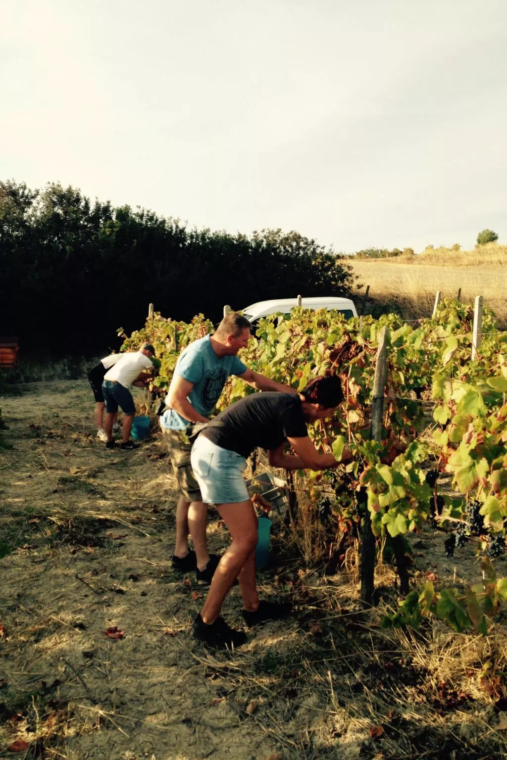 In Badolato Marina-Image-tags.info