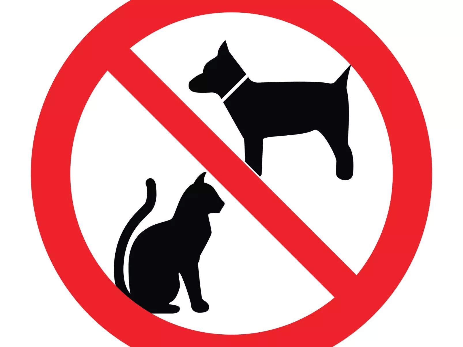 Am Meer, Urlaub auf der Insel Usedom, Apartment White Space II-Buiten