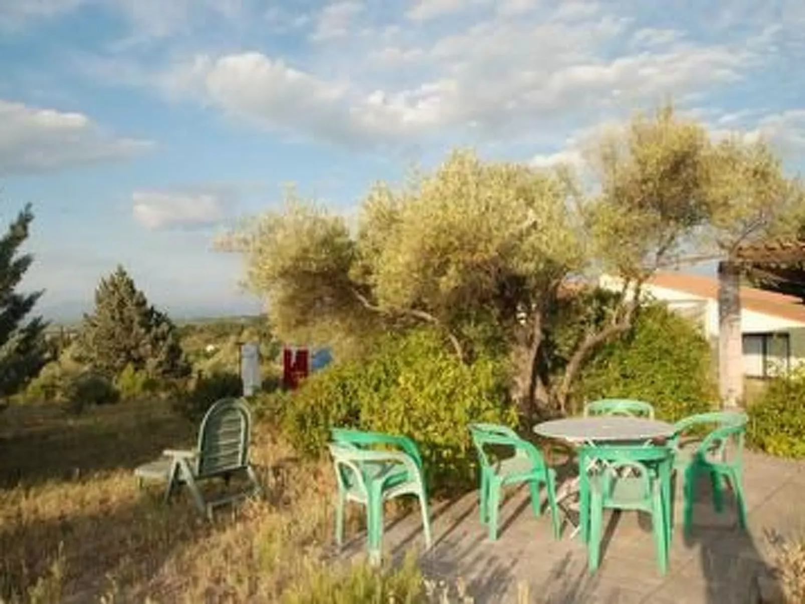 Die kleine Zikade-Image-tags.info