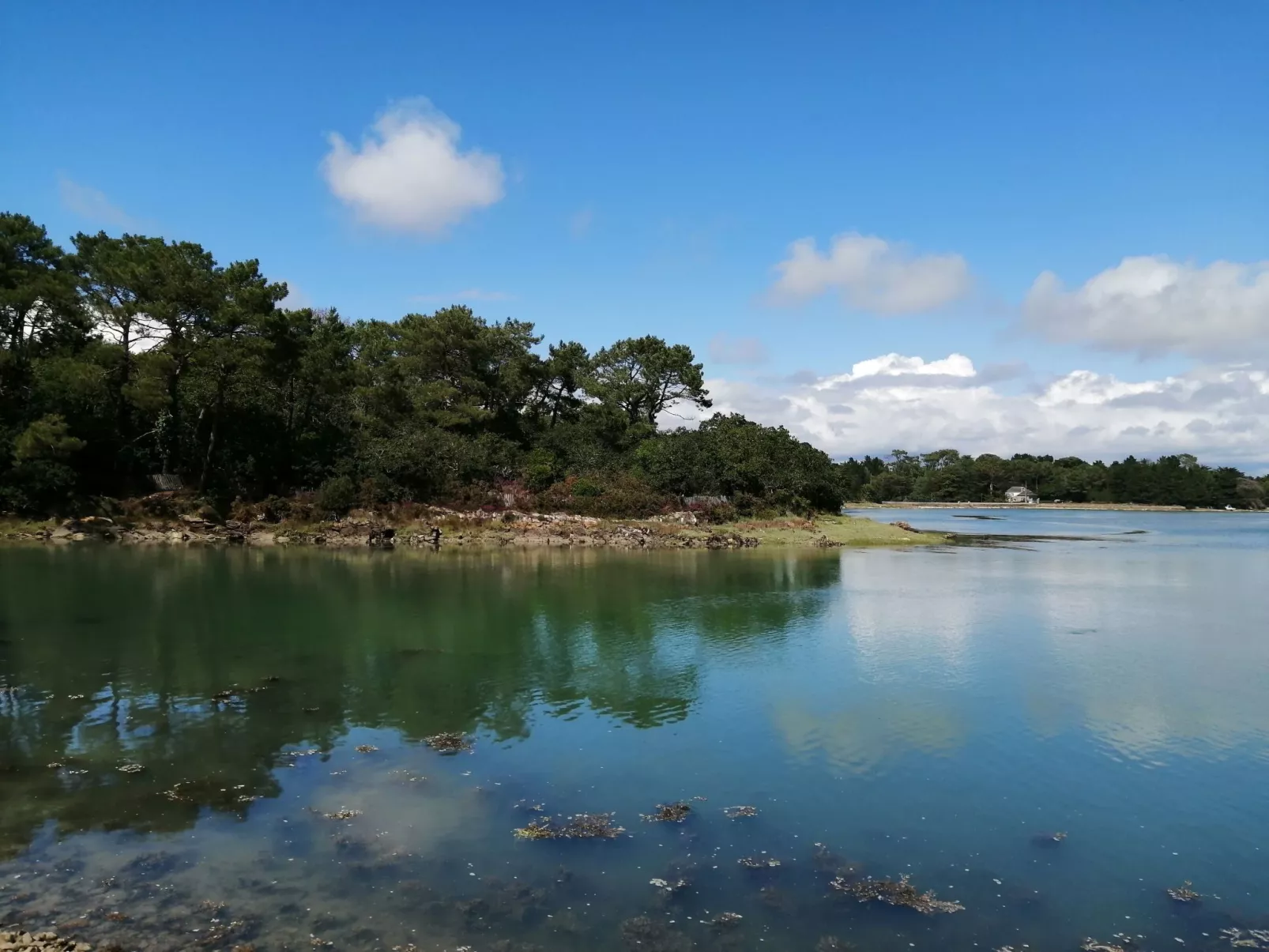 Bretagne Loctudy Haus Les Camélias 3 Personen-Buiten