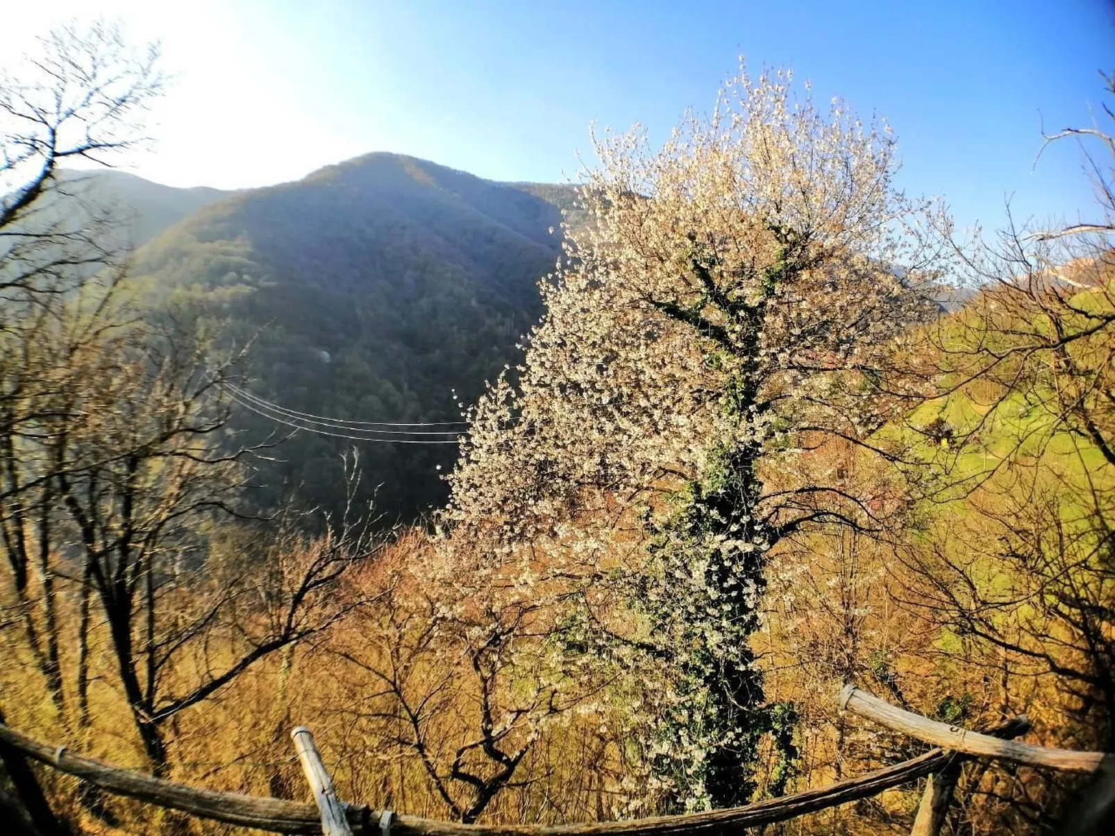 Mit Bergblick-Buiten