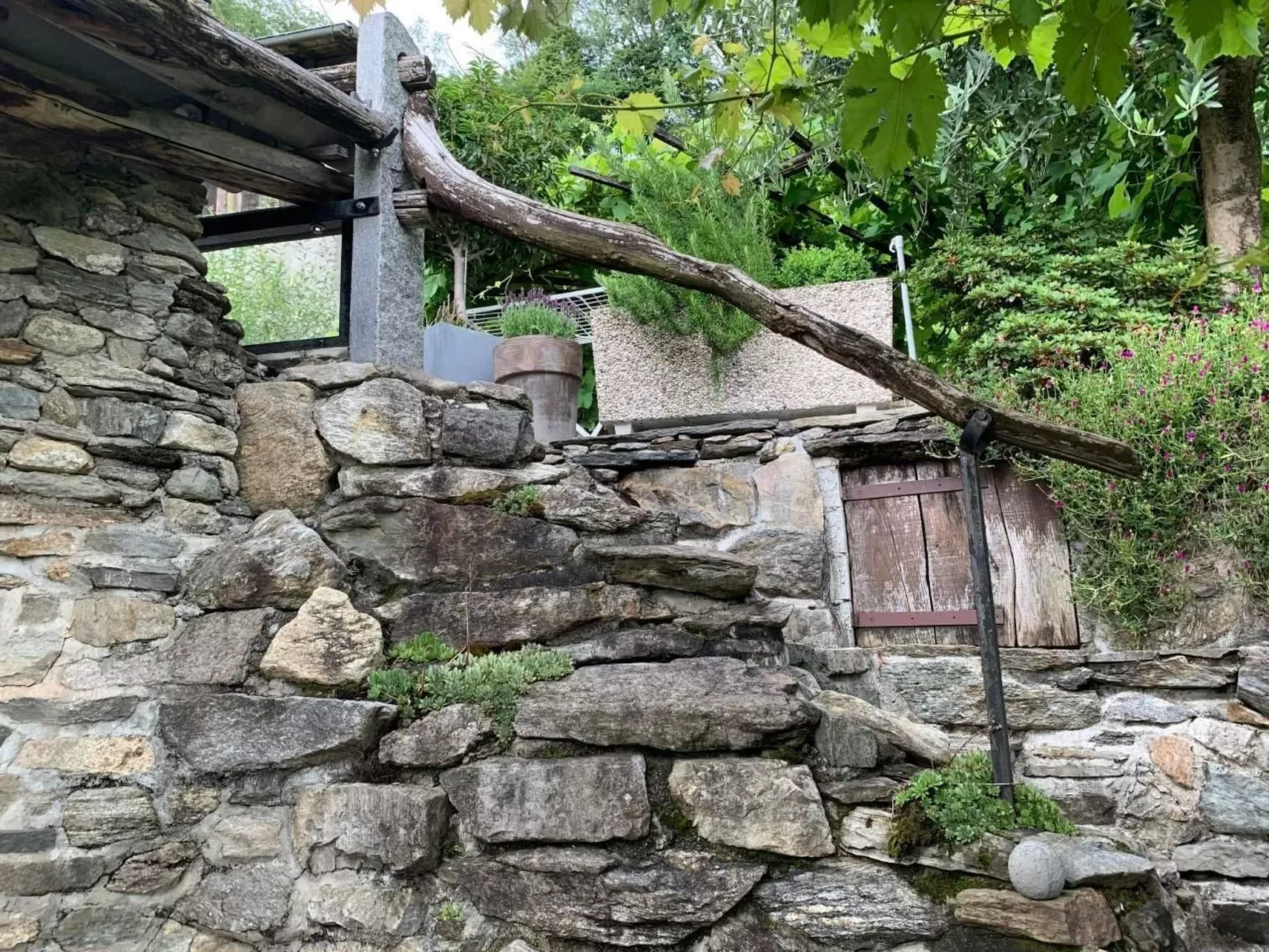 Rustico Motto della Capra-Image-tags.info