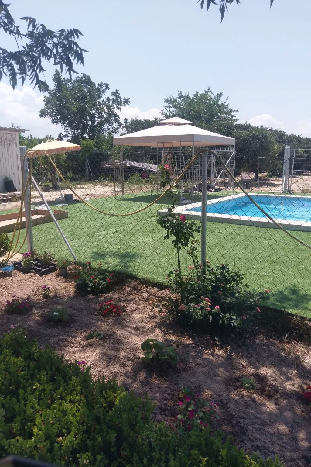 Neben Orangenbaum-Obstgarten-Buiten