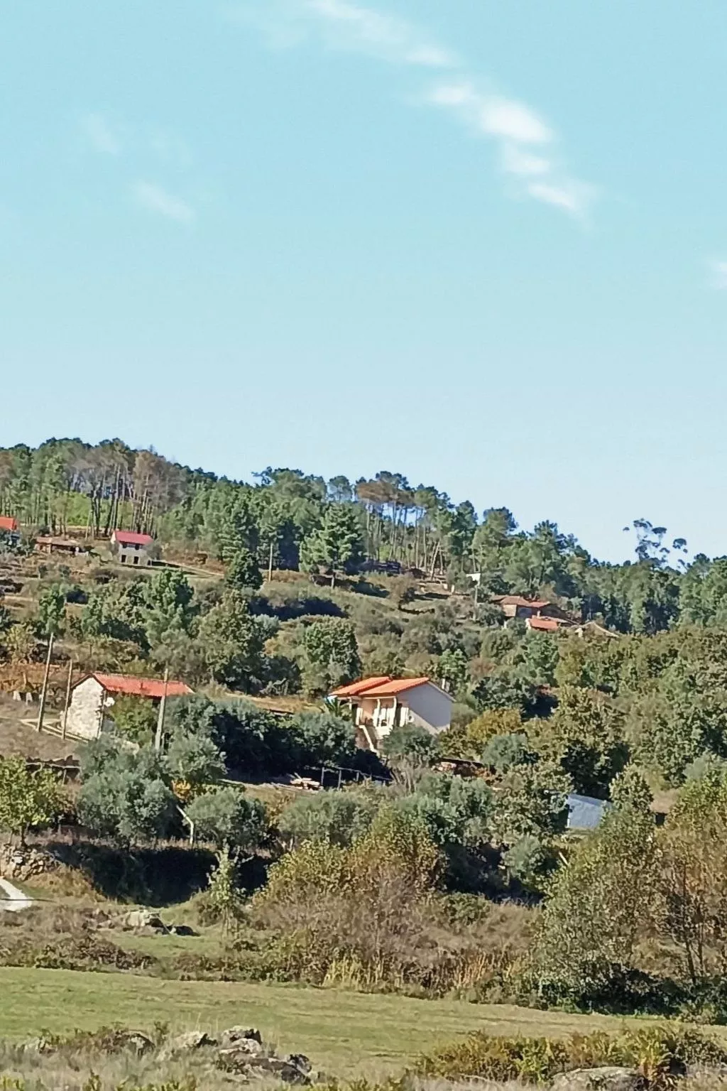 Ferien auf dem Bauernhof mit Weinberg-Buiten