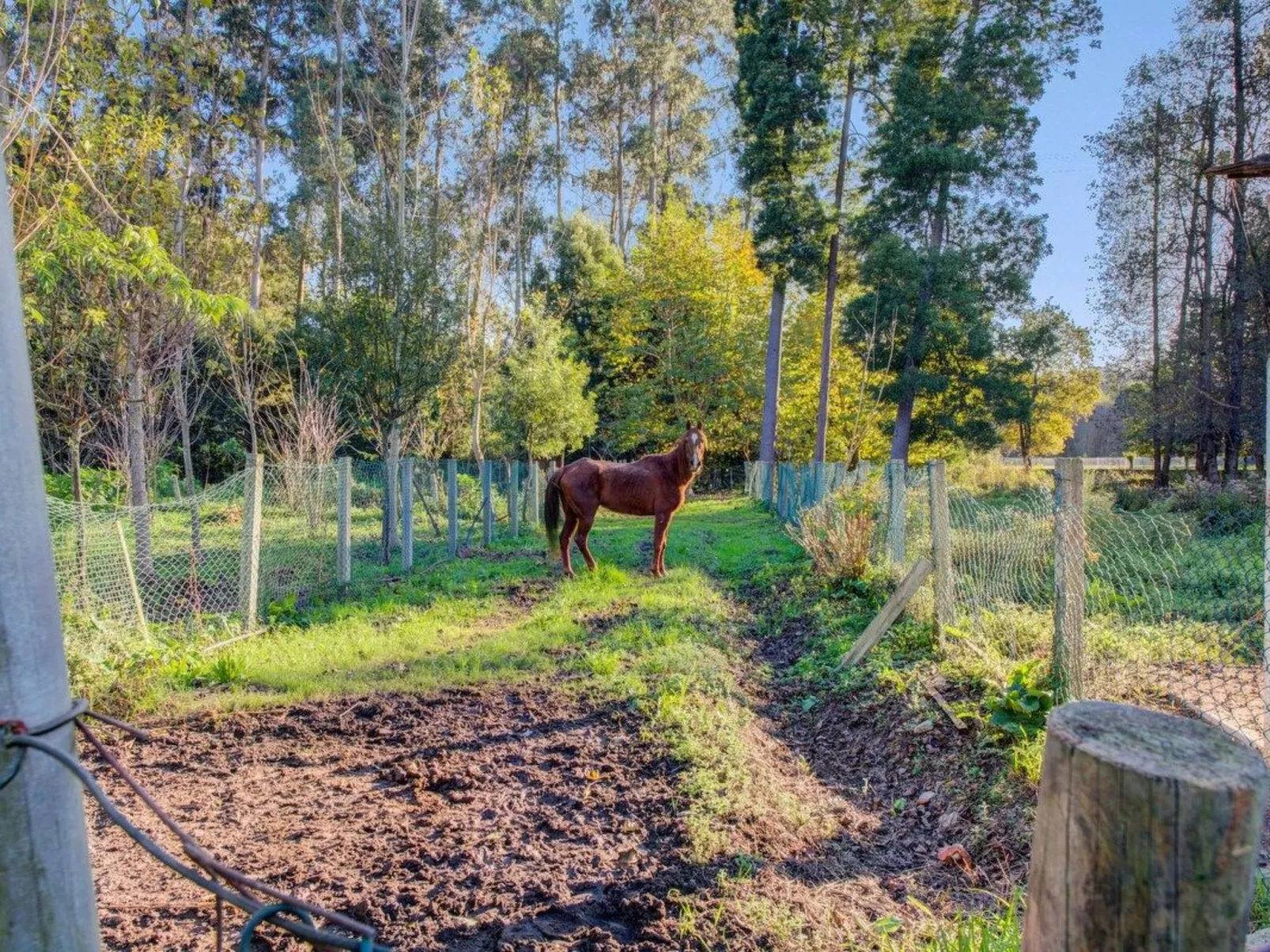 Maison du Moulin in Bauernhof-Buiten