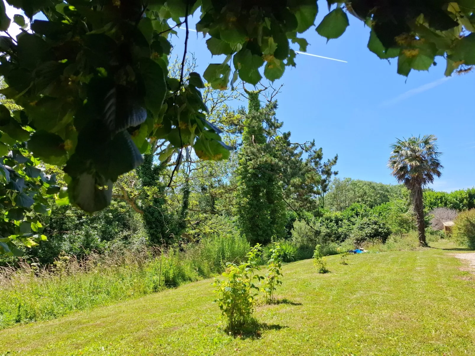 Le Bois aux Ecureuils (Eichhörnchenwald)-Buiten