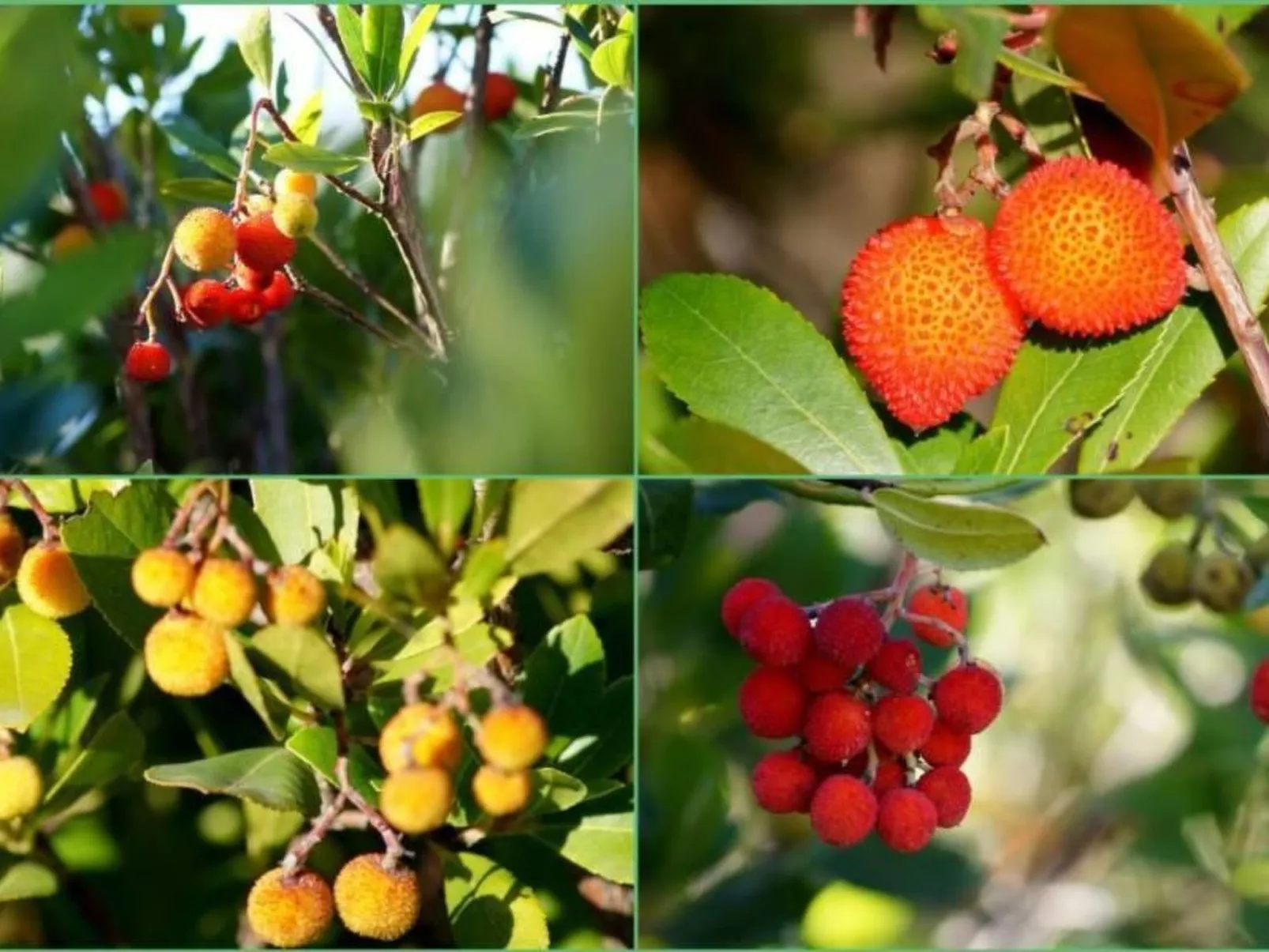 Wohnung mit allem Komfort Strand zu Fuß-Image-tags.info