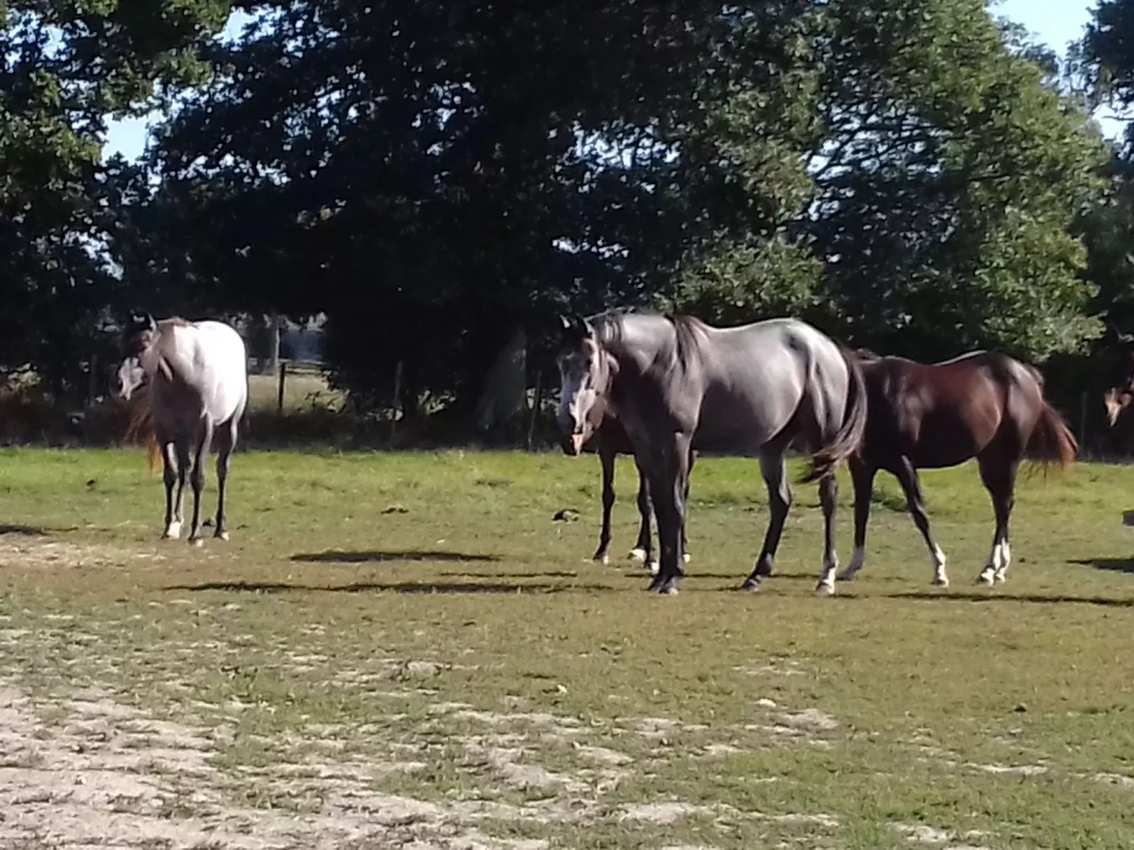 Gite Pamphilienne mit Blick auf Mont Saint Michel-Buiten