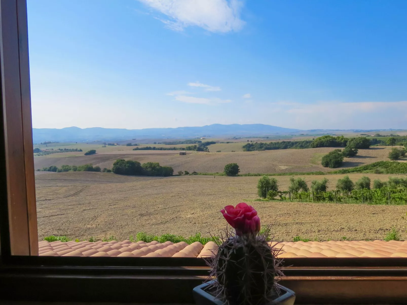 "Pieve pomaia Trilo5-Buiten