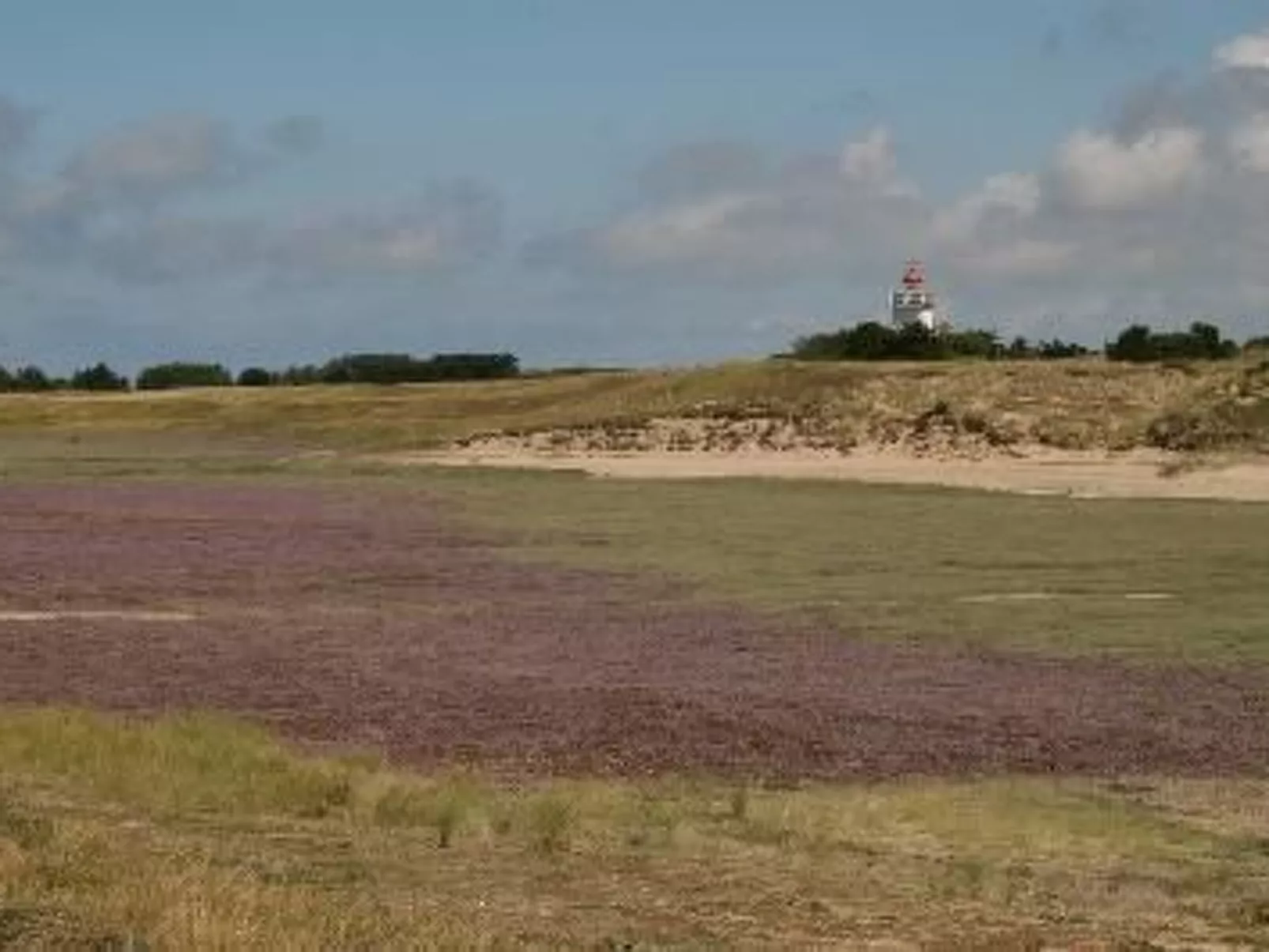 "8883" in Strandnähe-Buiten