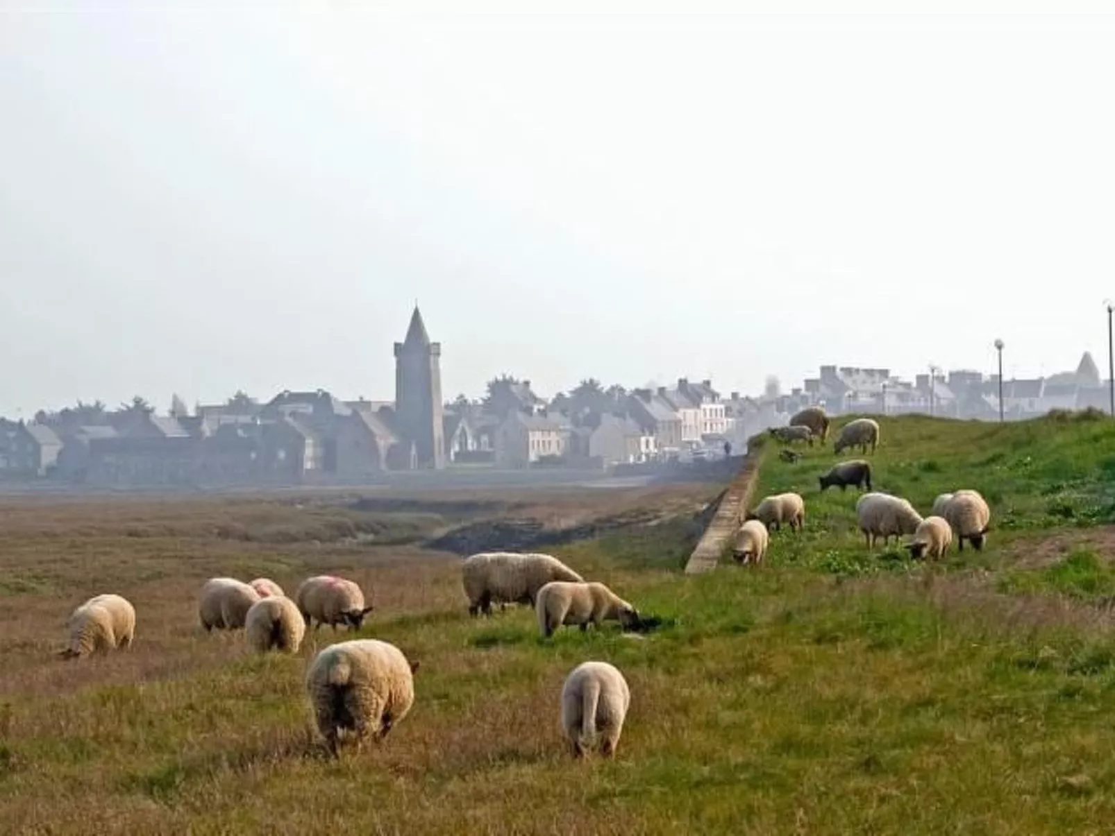 Charmantes Holzhaus in einer grünen Umgebung-Image-tags.info