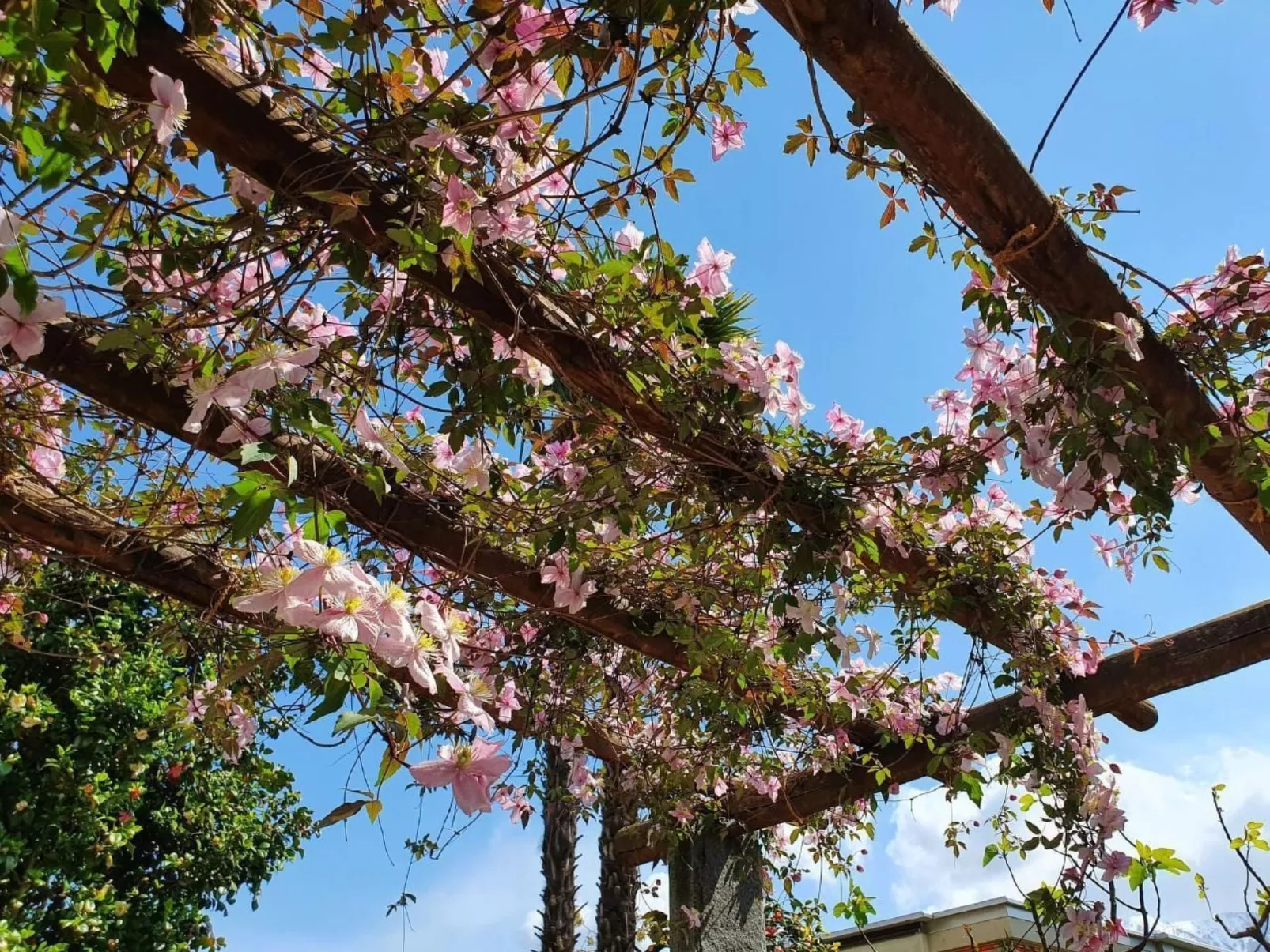 Casa delle Vigne-Buiten