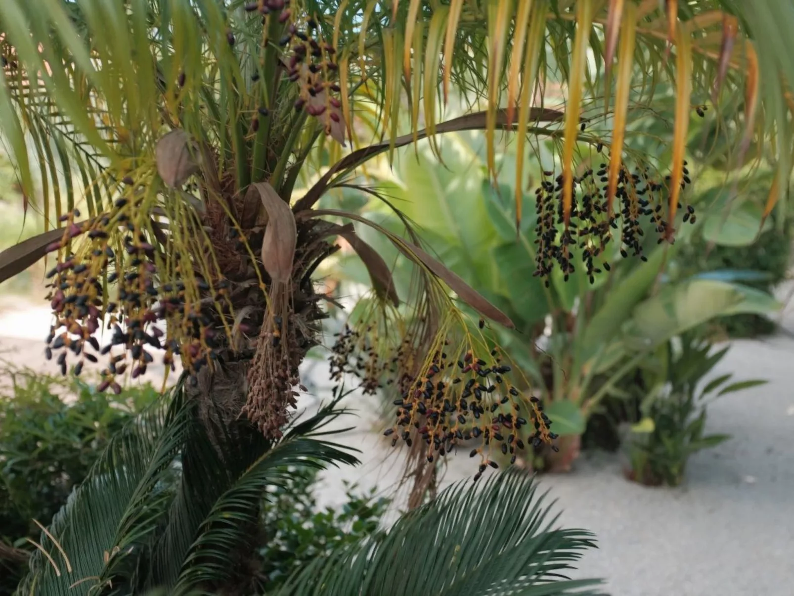 In Sgourou mit Eigenem Balkon-Image-tags.info