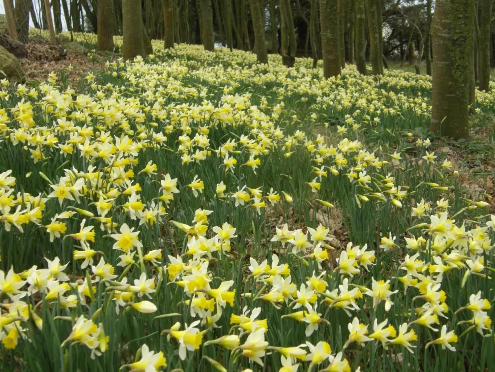 "Tromeal Lasalle" blick auf das Meer. Mit 4 Sternen klassifiziert-Buiten