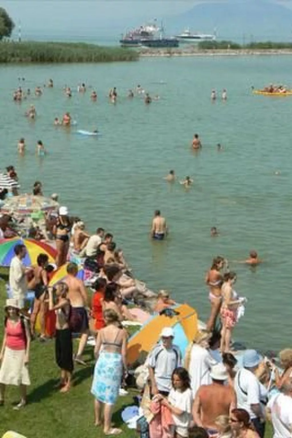 BO-42 - Image-tags.info