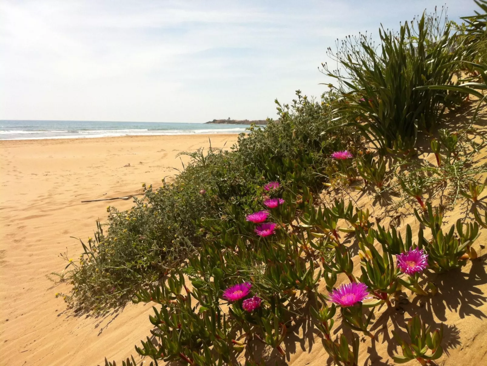 Gemütliches Haus in Scicli mit Panoramaterrasse-Binnen