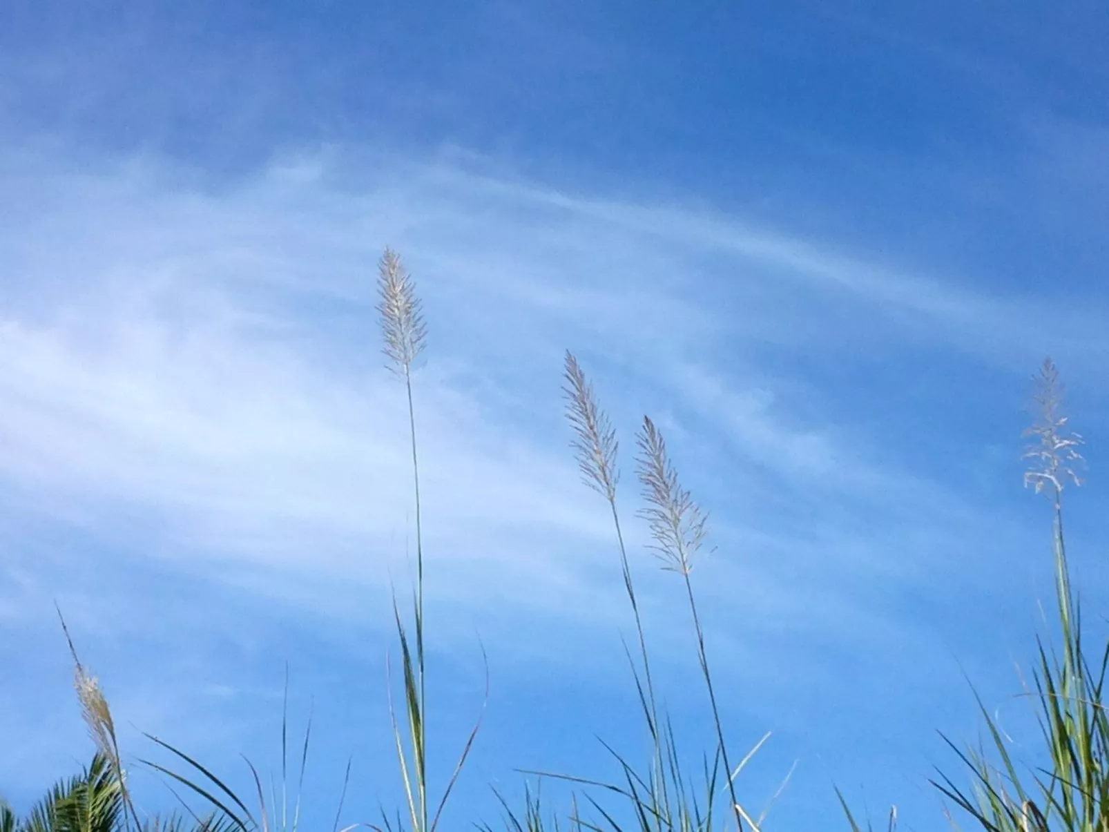 Steinhaus mit Panoramadachterrasse-Binnen