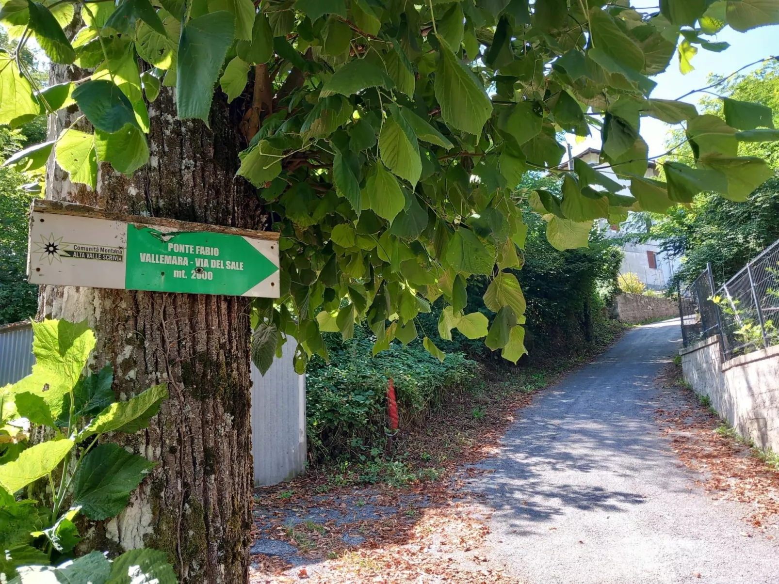 House Canova by Holiday World-Buiten