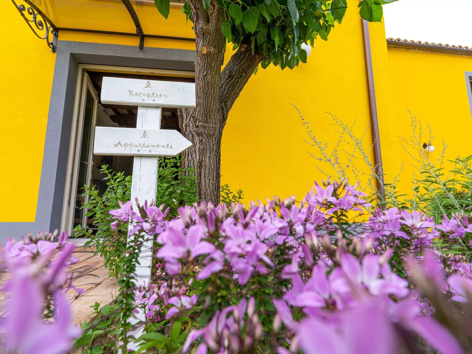 Nespolo' Wohnung mit Gemeinschaftspool-Buiten