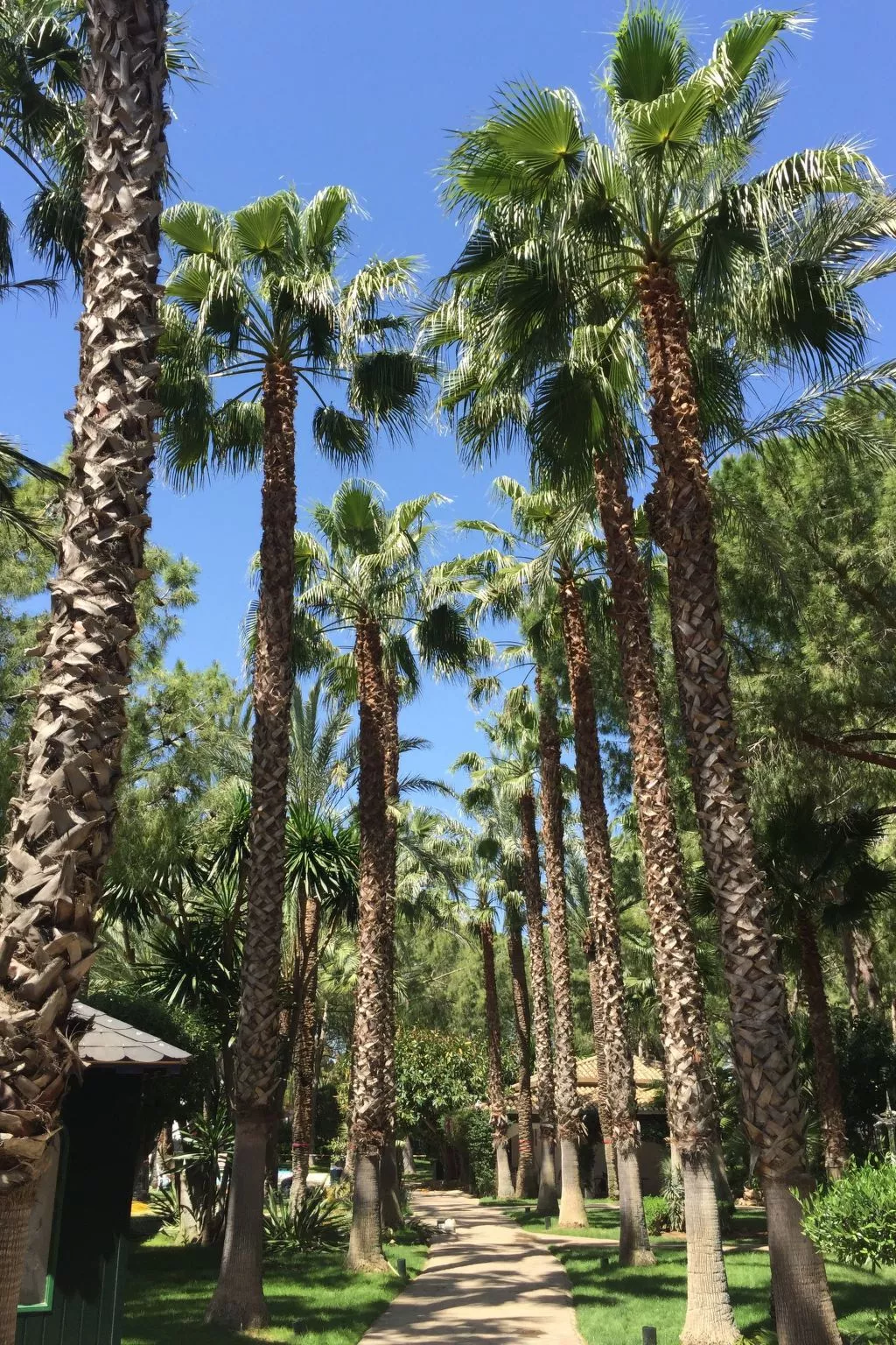 Ferienvilla El Oasis-Buiten