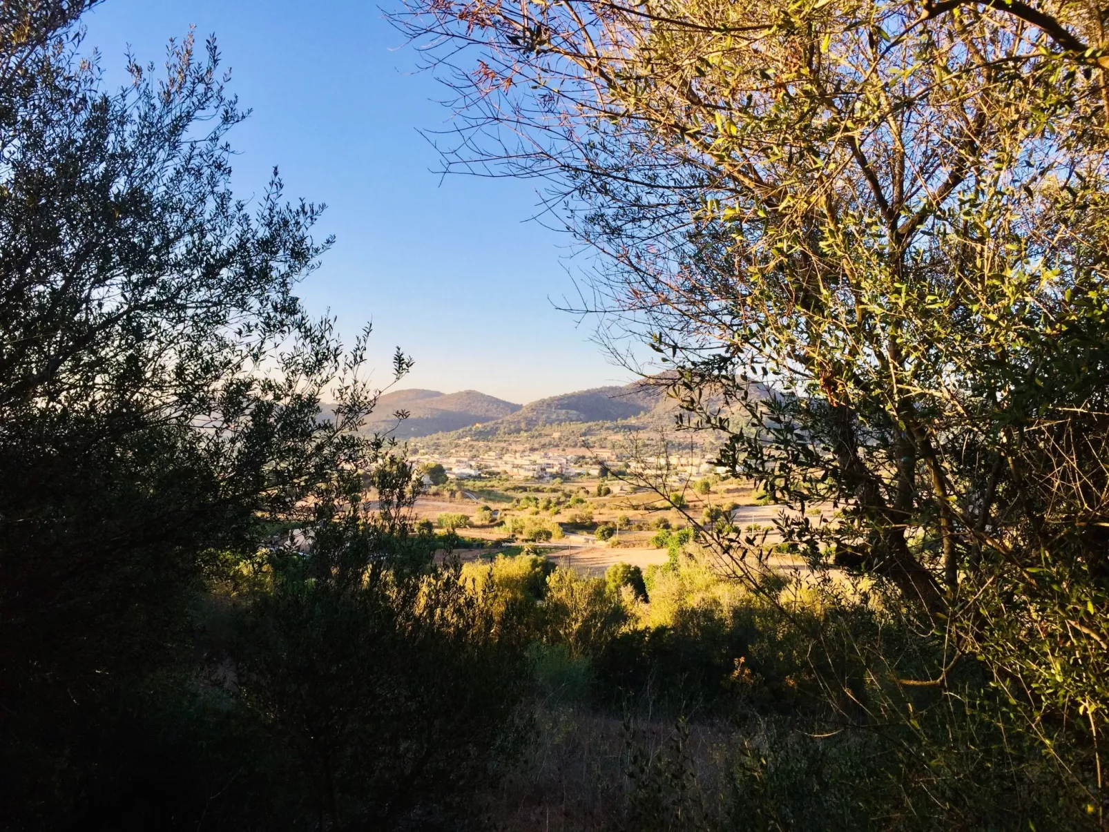 Adults Only Finca - Apartment zum entspannen-Buiten