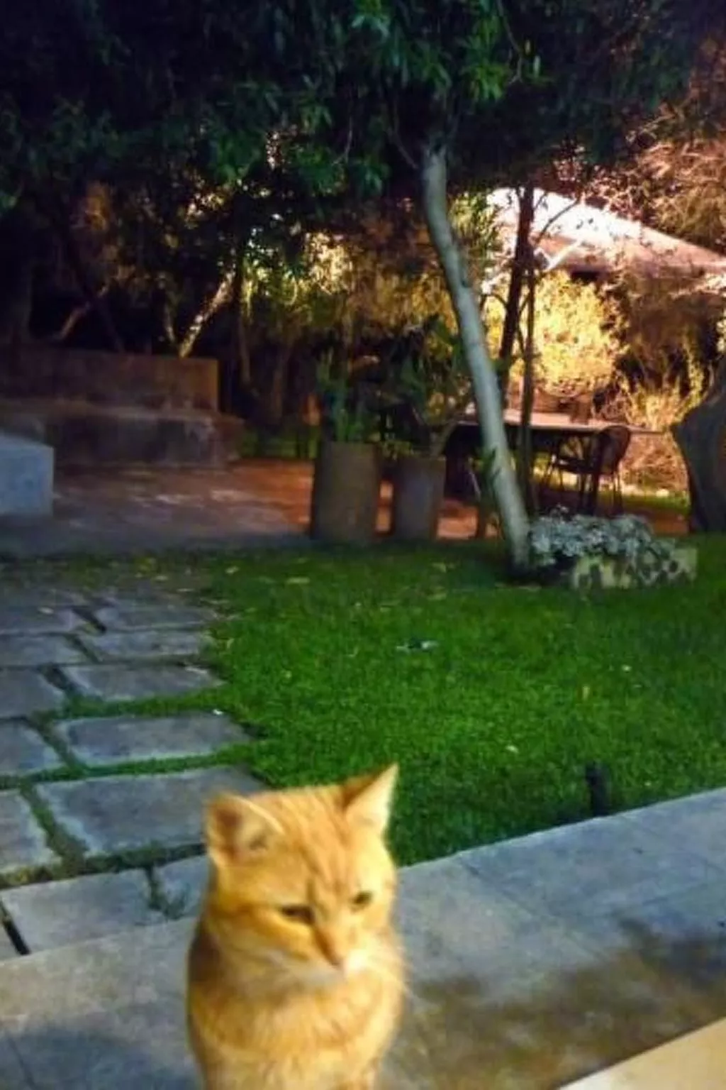 Mit Privatparkplatz-Image-tags.info