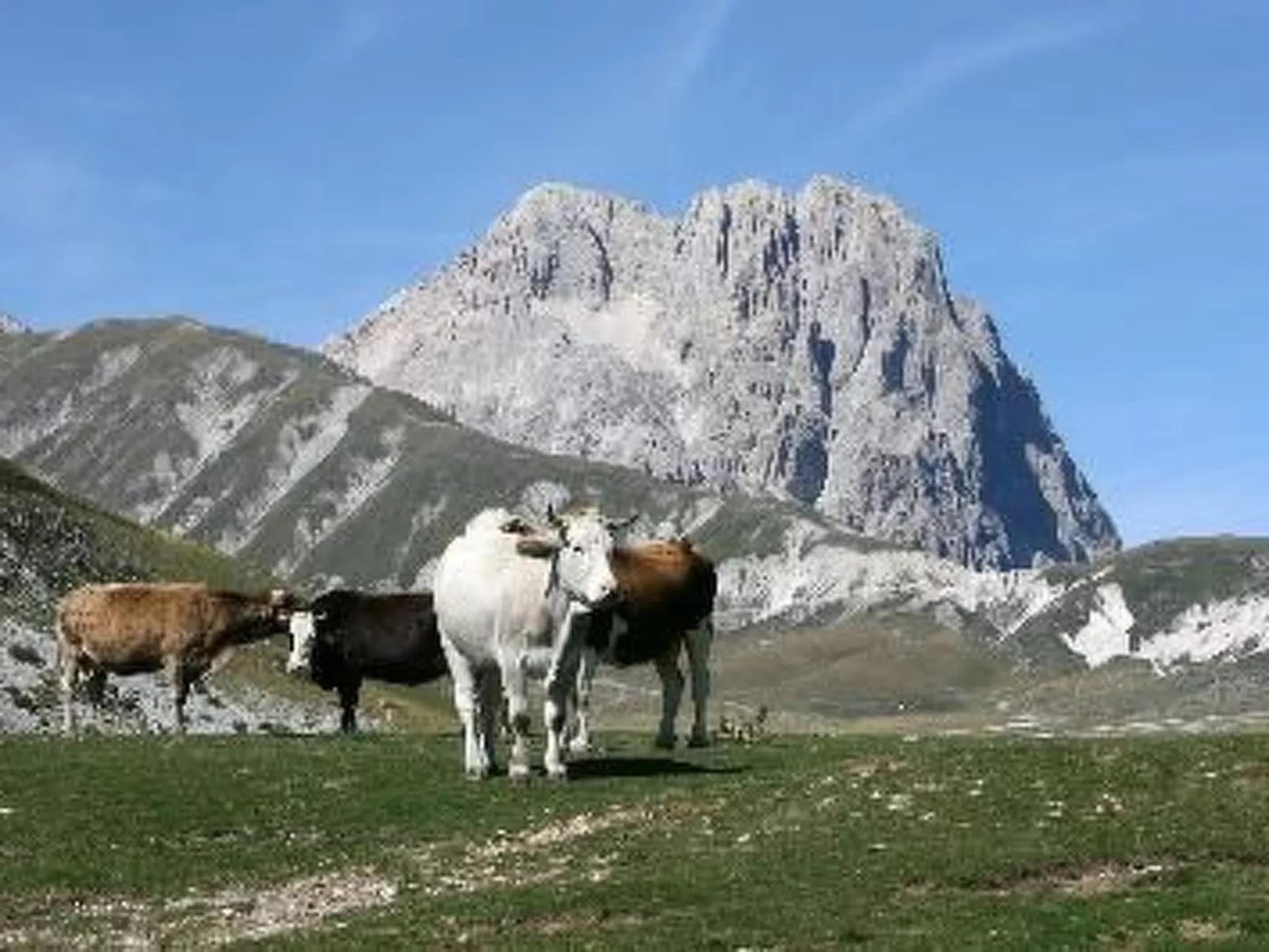Casa Monteverde Real Rural Abruzzen-Image-tags.info