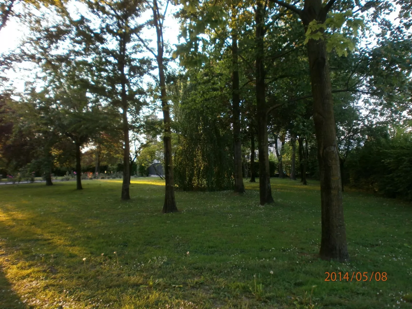 Wohnung 'Rose' mit Terrasse-Buiten