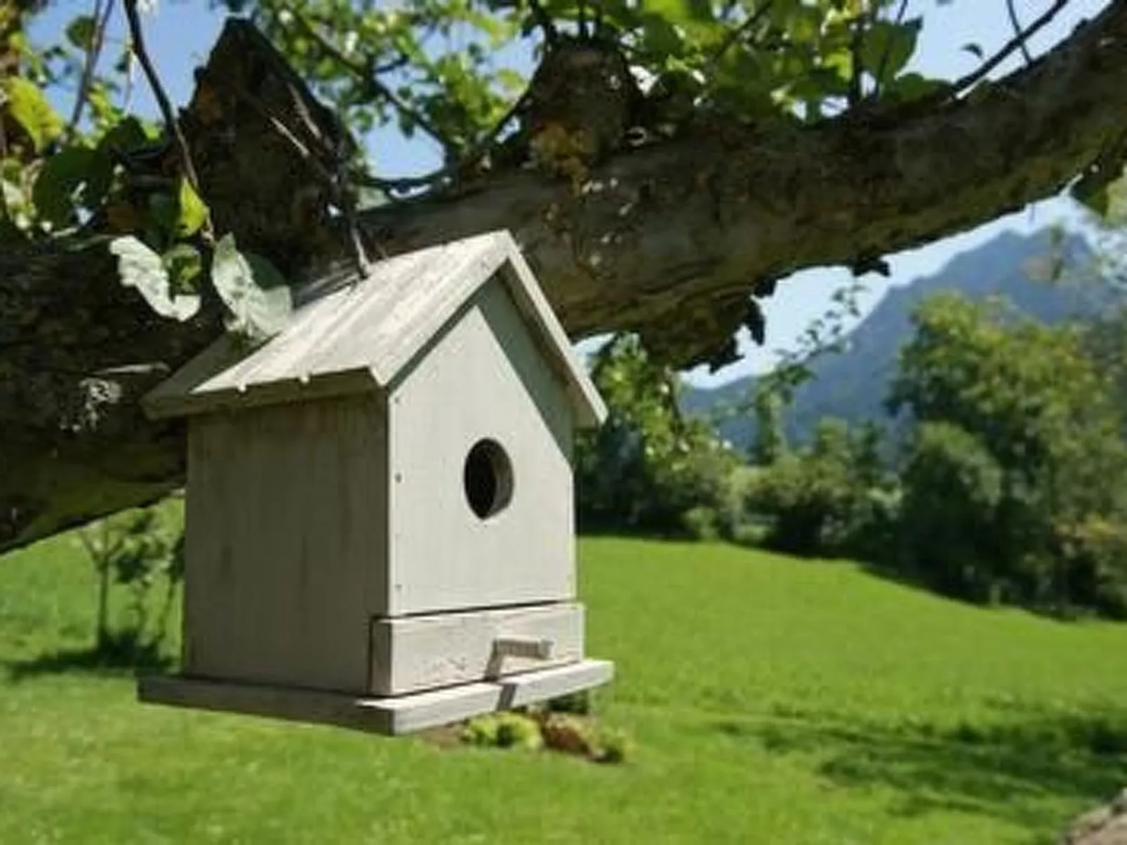 Romantisches Chalet in den Wiesen der Dolomiten-Buiten