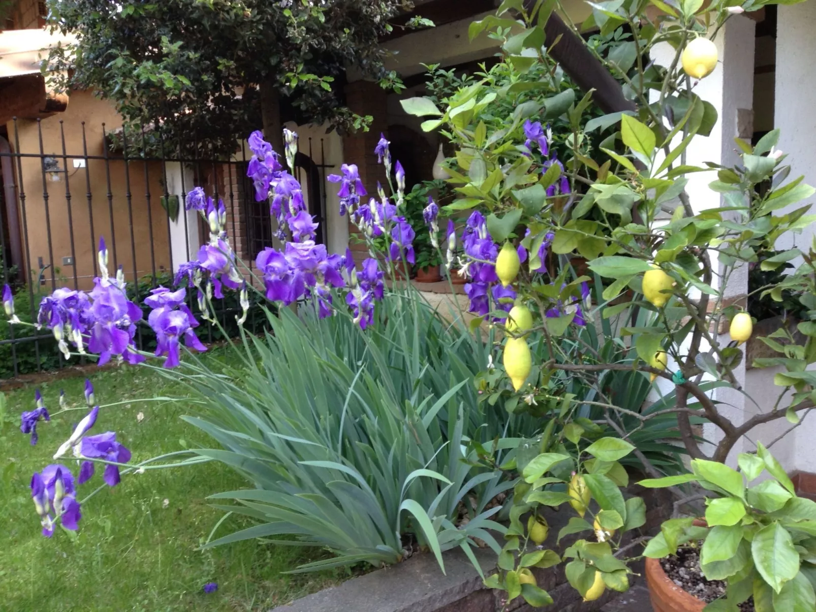 La Badia in Franciacorta 10 min. vom Iseosee entfernt-Buiten