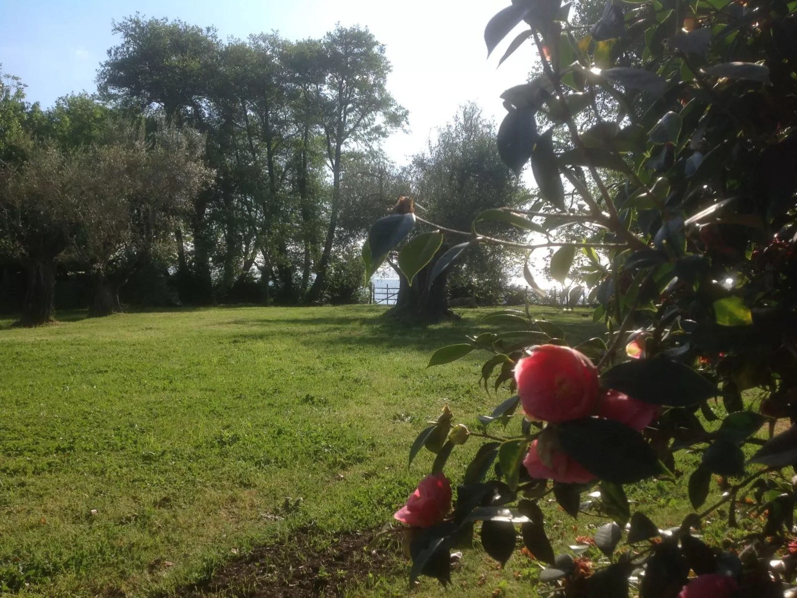 Mit Wasserblick-Buiten
