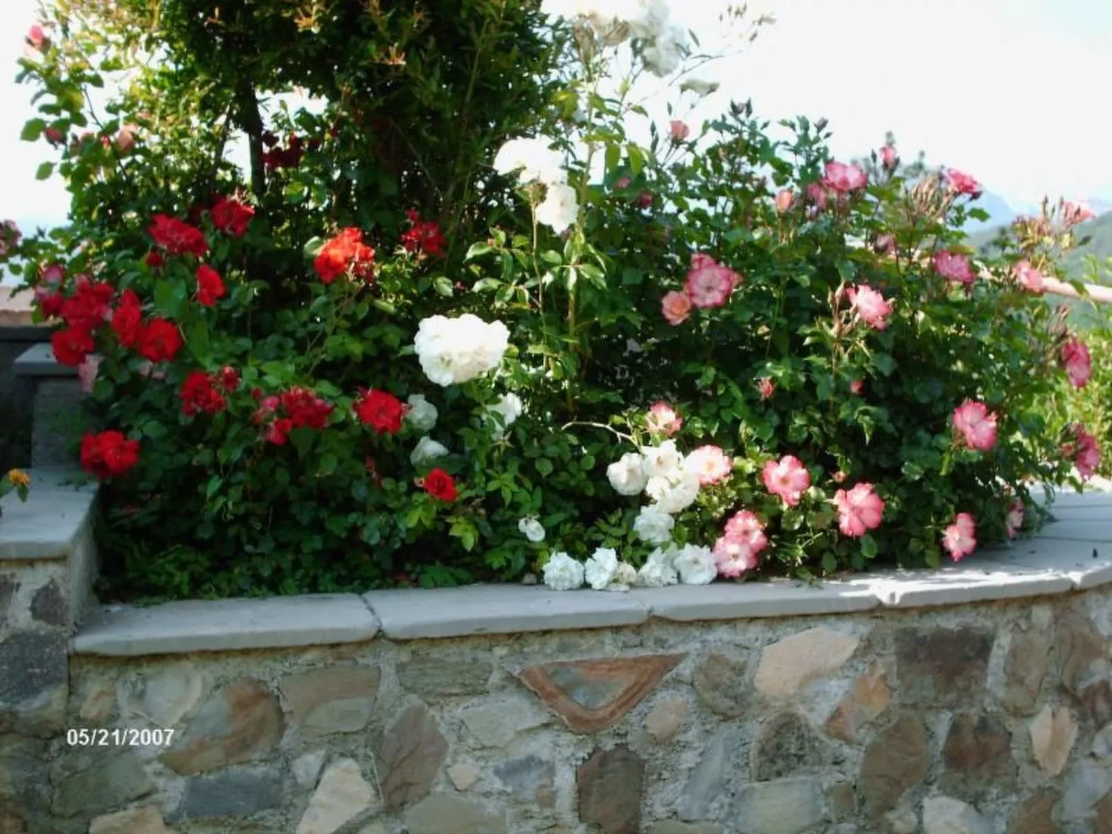 Agriturismo L'Argilla - Wohnung-Buiten