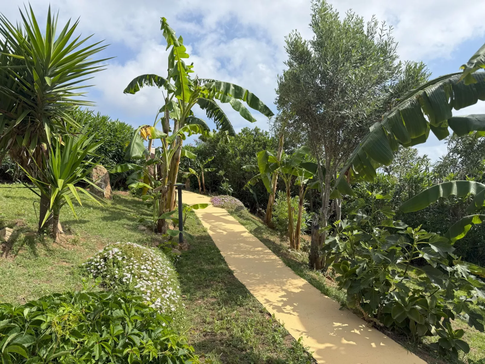 Villa in Banani-Buiten