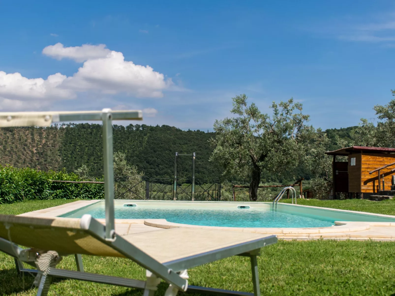 Ein Haus in der Olivenhaine - casa buriano GIULIA-Image-tags.info