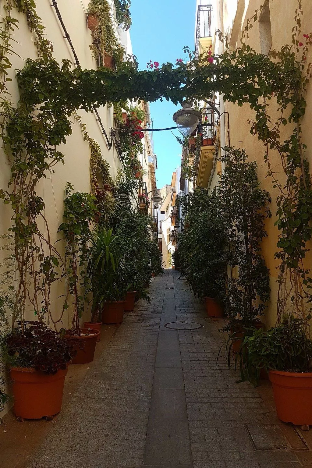 Bauernhof "Masía del Barranco".-Image-tags.info