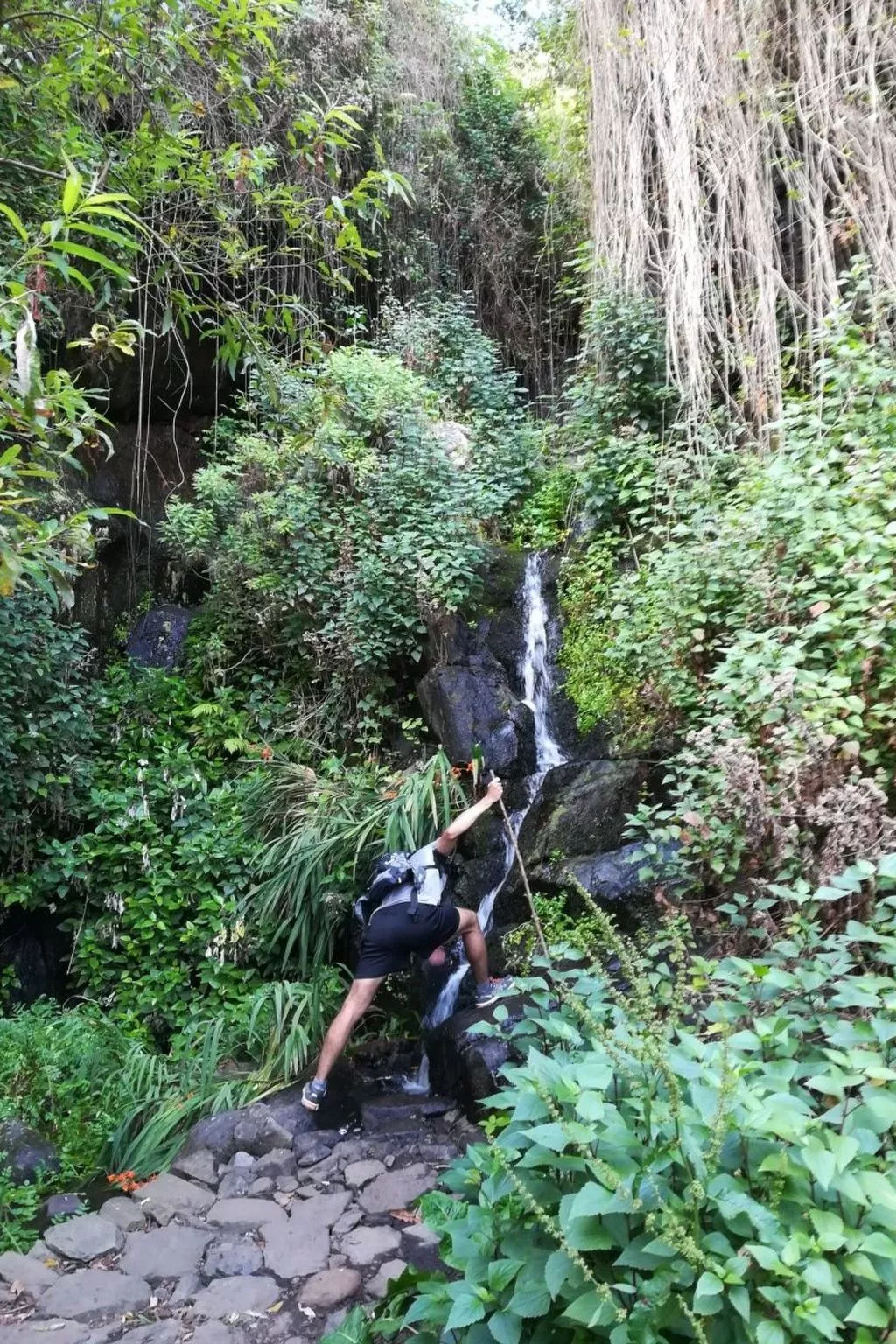 Freistehendes Ferienhaus La Maleza in La Palmita-Buiten